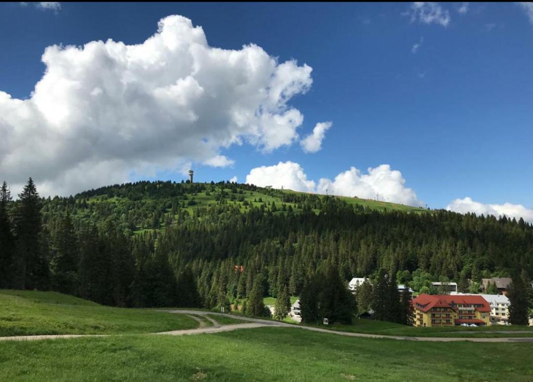 Ferienwohnung Feldberg Mit Whirlpool Direkt An Der Skipiste Экстерьер фото